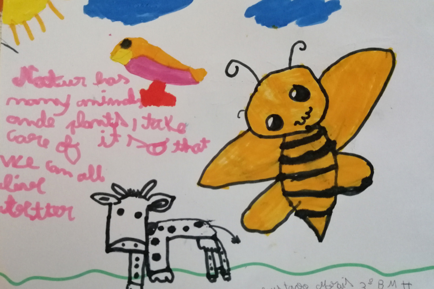 Gustavo-Morais_-Nature