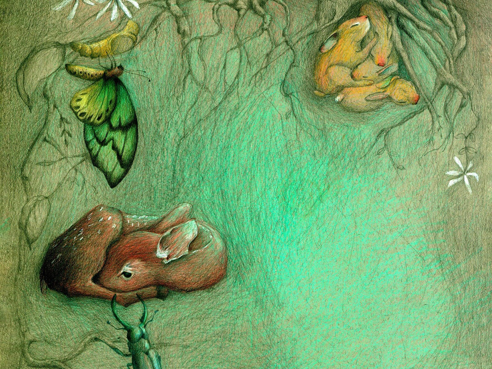 Palestra_com_a_Ilustradora_Olga_Neves_no_dia_28_de_Maio_04