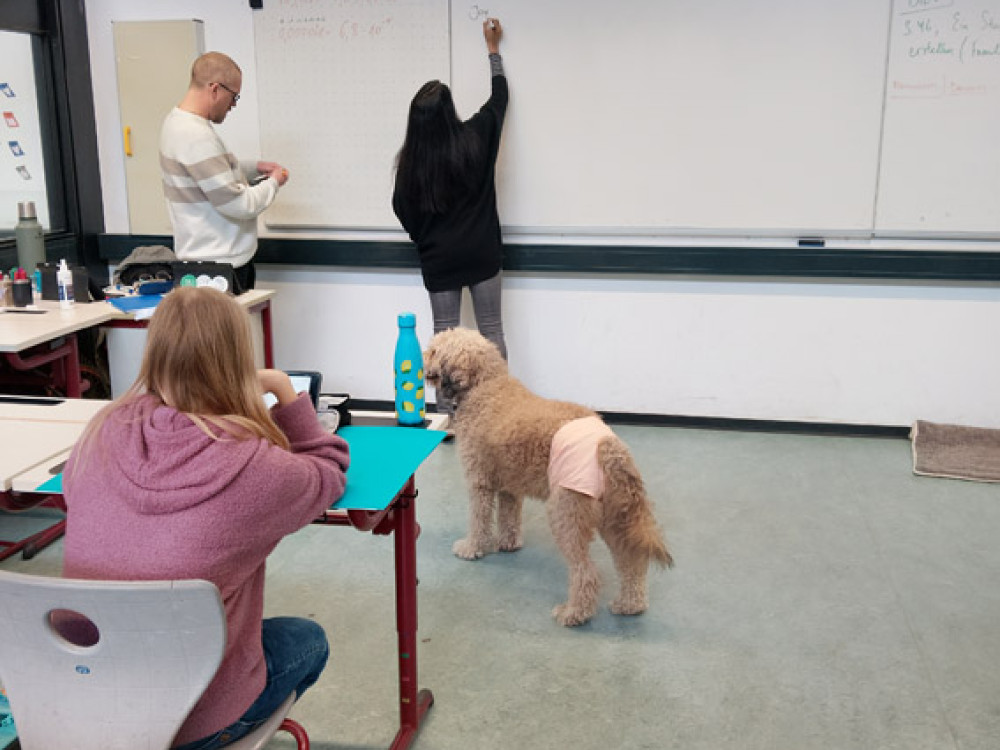 Docentes_realizam_mobilidade_Erasmus_na_Anne_Freud_Schule_Colónia_07