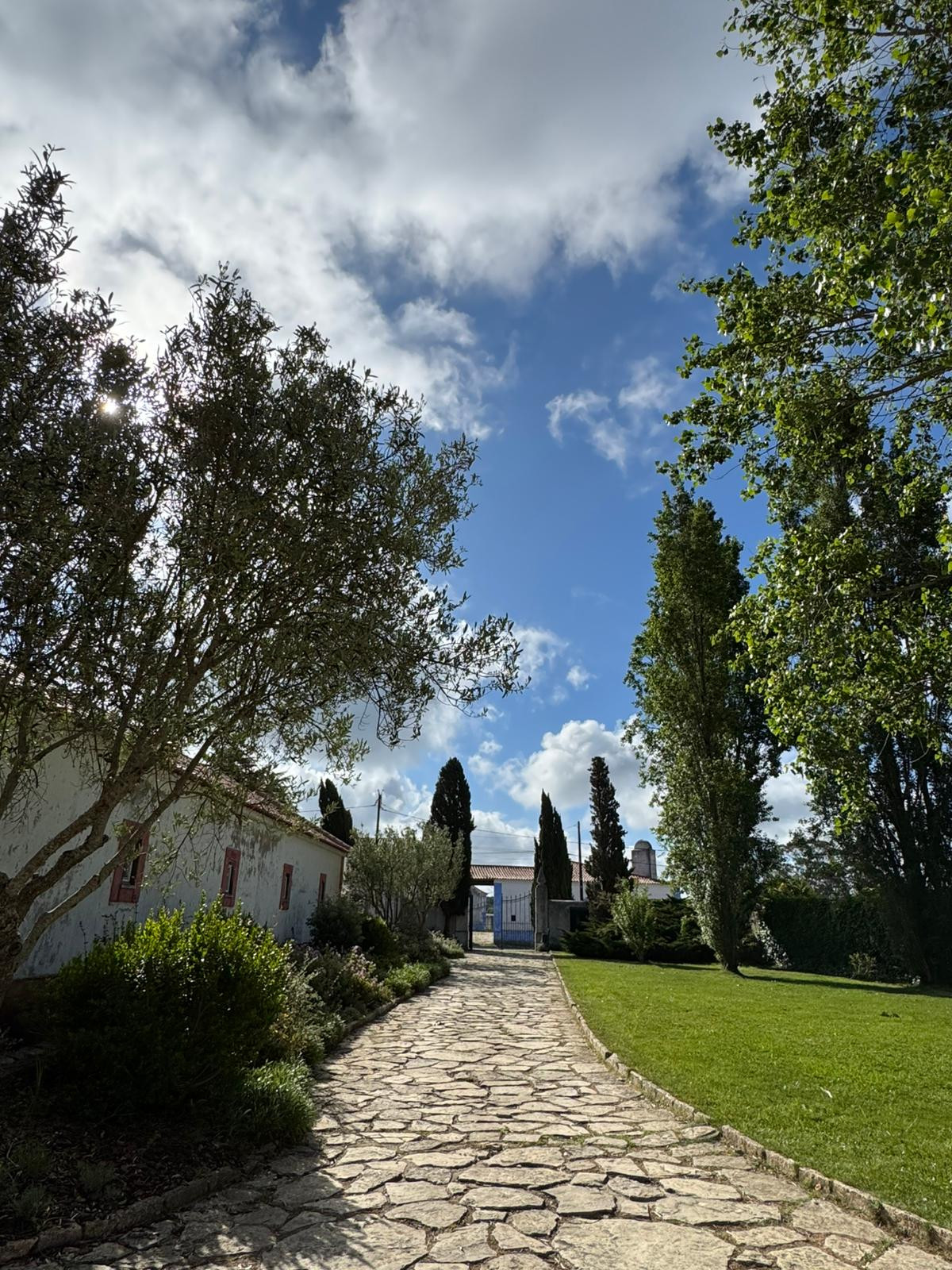 visita_de_estudo_ao_Museu_Arqueológico_de_São_Miguel_de_Odrinhas_22