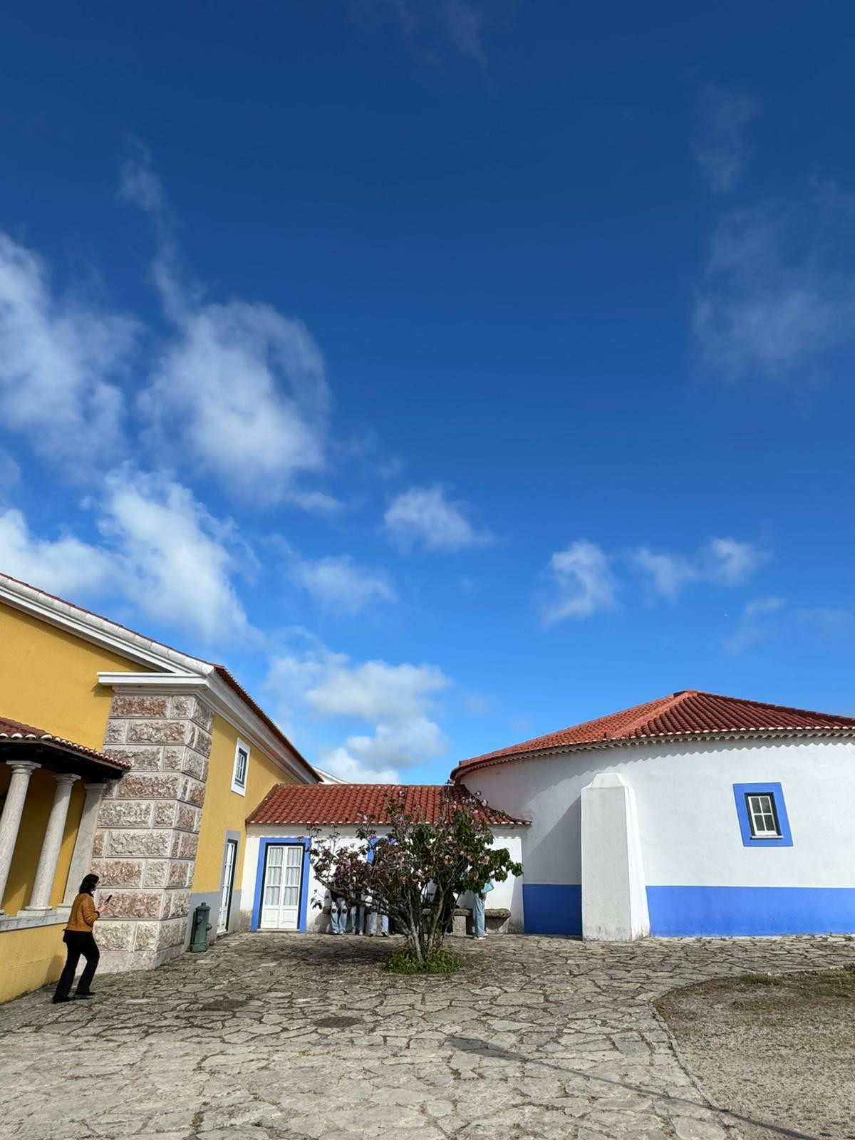 visita_de_estudo_ao_Museu_Arqueológico_de_São_Miguel_de_Odrinhas_25