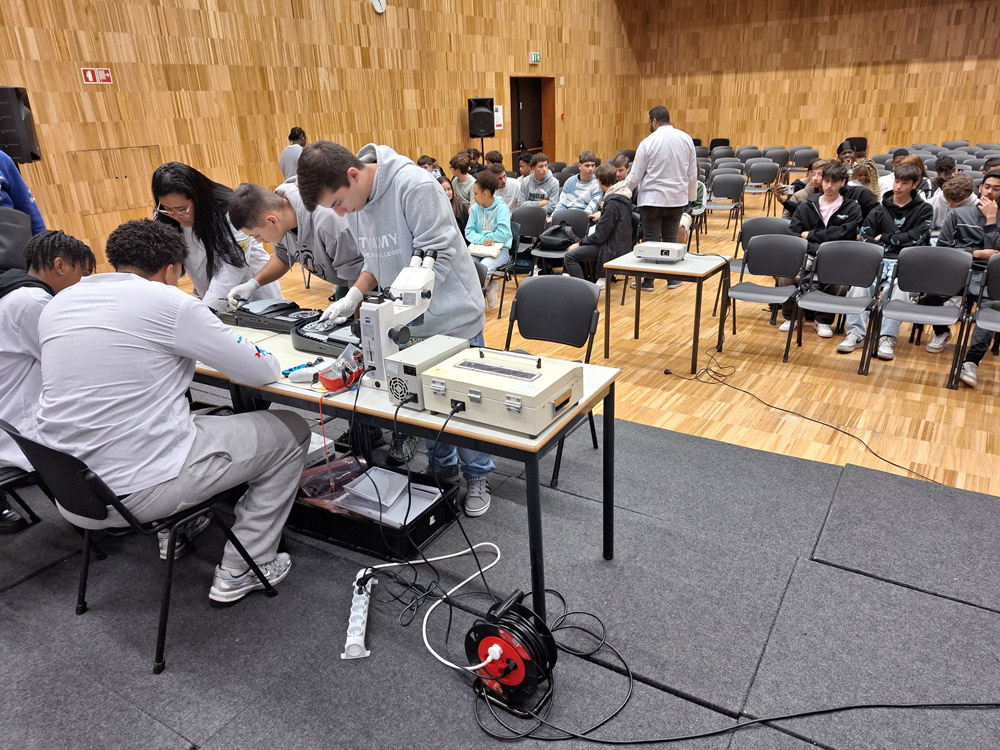 20251111 102658 resized