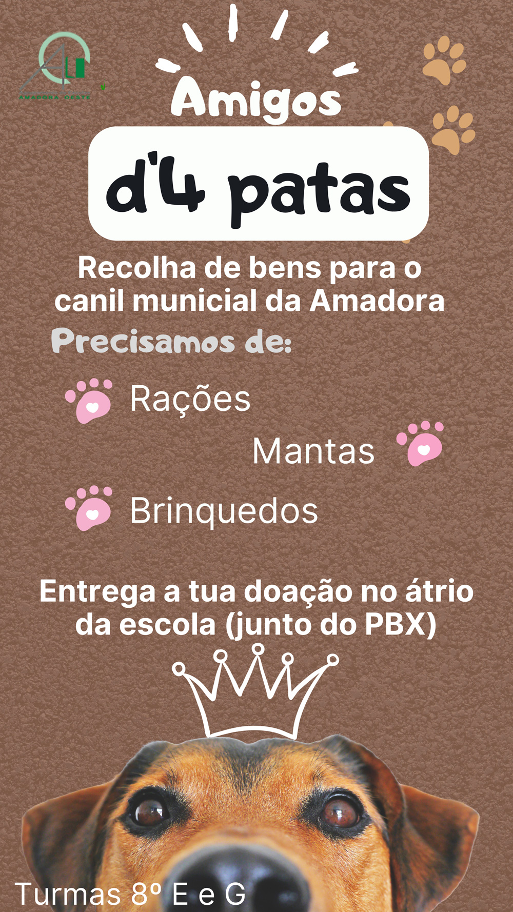 Cartaz campanha