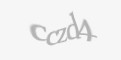Código de segurança